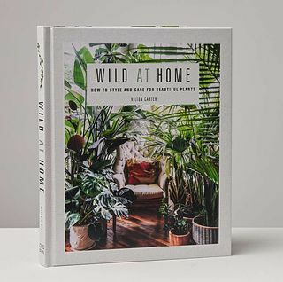 Дивљи код куће: Стил и нега за лепе биљке Боок