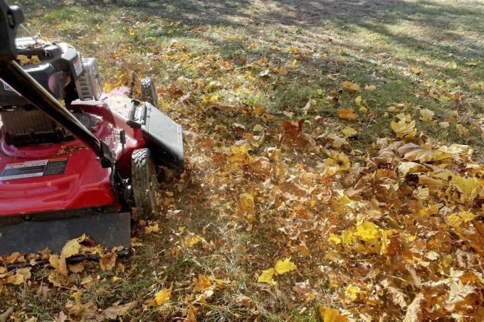 може ли отпало лишће остати на мојој косилици за малчирање травњака