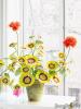 5 прољетних цвјетова које не морате залијевати