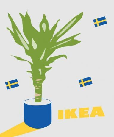 саксија са биљкама икеа и шведске заставе