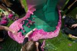 Овогодишњи сајам цвећа Цхелсеа постављен је да задиви задивљујућим дизајном Булл Ринг Гате