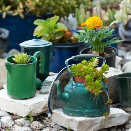 поново коришћене идеје за садњу Половни чајници, шерпе, стари чајници претварају се у саксије за цвеће рециклирани дизајн баште и селективни фокус на животни стил са мало отпада