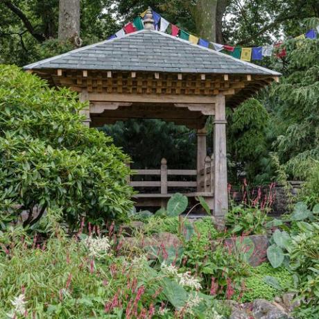башта поводом 50. годишњице траилфиндера коју је дизајнирао Џонатан Сноу спонзорисан од стране траилфиндерс схов гарден рхс цхелсеа схов цвећа 2021 штанд бр. 326