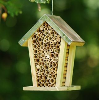Кутија за пчеле са цинковим кровом