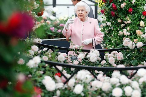 Британска краљица Елизабета погледа изложбу Петер Беалес Росес на РХС Цхелсеа Фловер Схов 2018. у Лондону, понедељак, 21. мај 2018. године. РХС / Луке МацГрегор