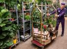 Патцх отворио први хотел за биљке на свету у Баттерсеа у Лондону