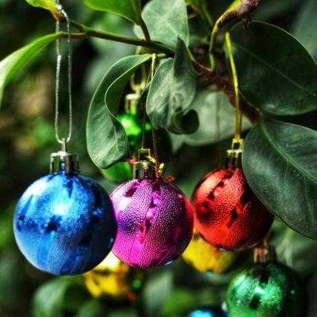 тропско божићно дрвце са шареним куглицама