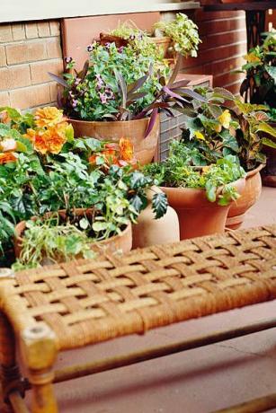 балкон са биљкама