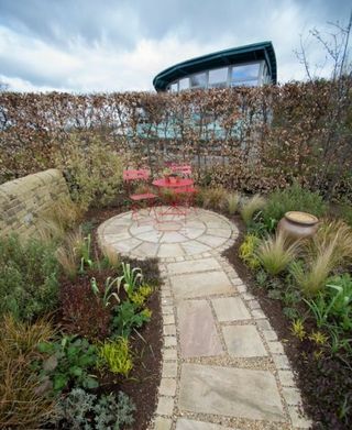 Прва стална башта Стреет Хедгехог у Великој Британији откривена је у РХС Харлов Царр, Нортх Иорксхире.