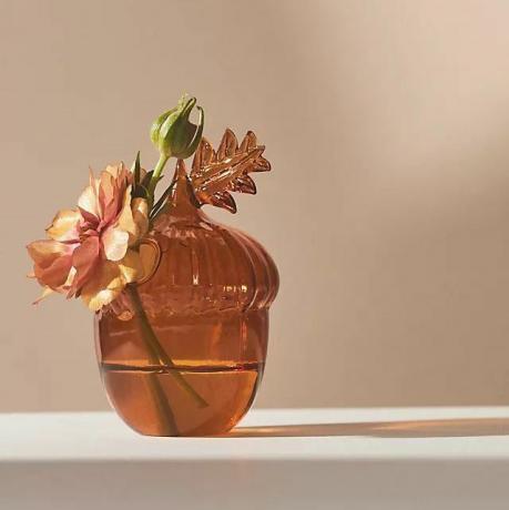 Јесен стаклена ваза са пупољцима од жира