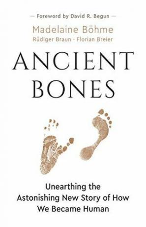 Древне кости: откривање запањујуће нове приче о томе како смо постали људи