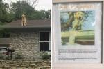 Знак ове породице објашњава зашто њихов пас воли да сједи на крову