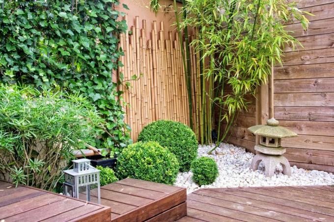 јапанска башта са бамбусом и каменим фењером