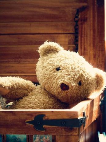 Медвед у кутији са играчкама